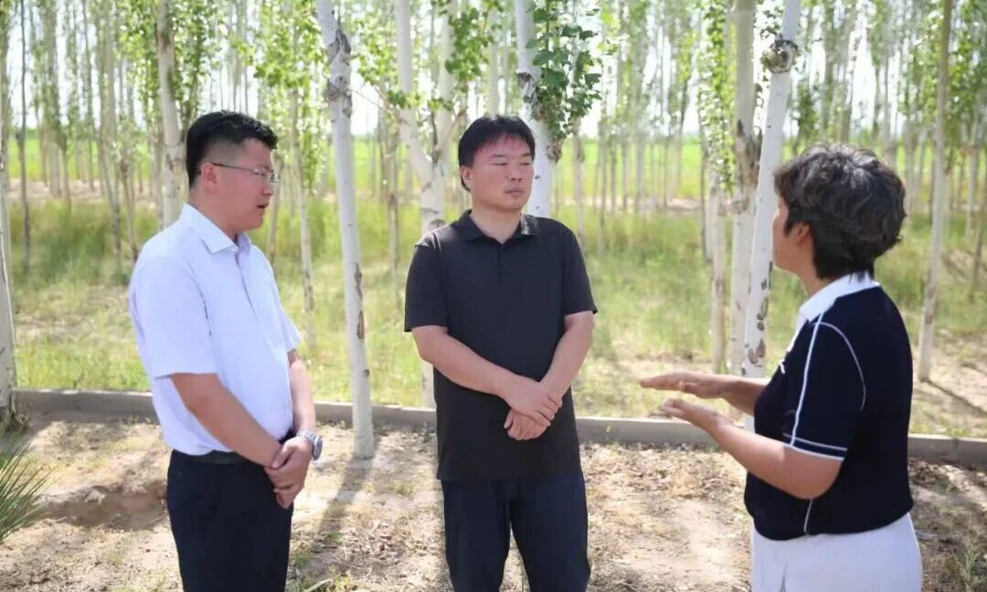 张鸿福在五原县调研并接待来访群众相关图片