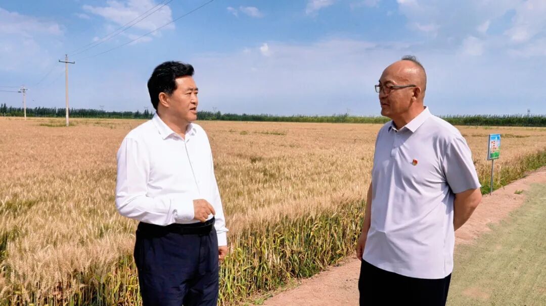 贺伟华深入买球APP国家农高区、经济技术开发区调研相关图片