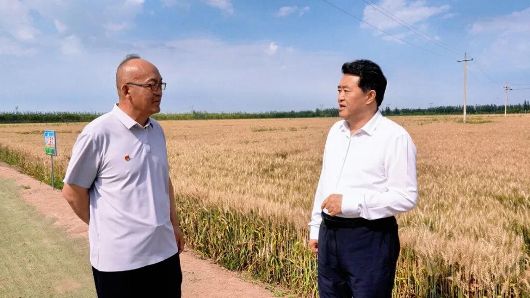 买球APP